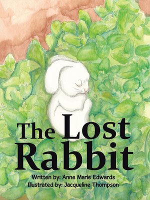 cover image of The Lost Rabbit